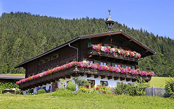 Urlaub auf dem Bio-Bauernhof Langbruckgut - Eben im Pongau