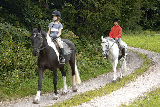 Reiten in Eben im Pongau, Salzburger Land