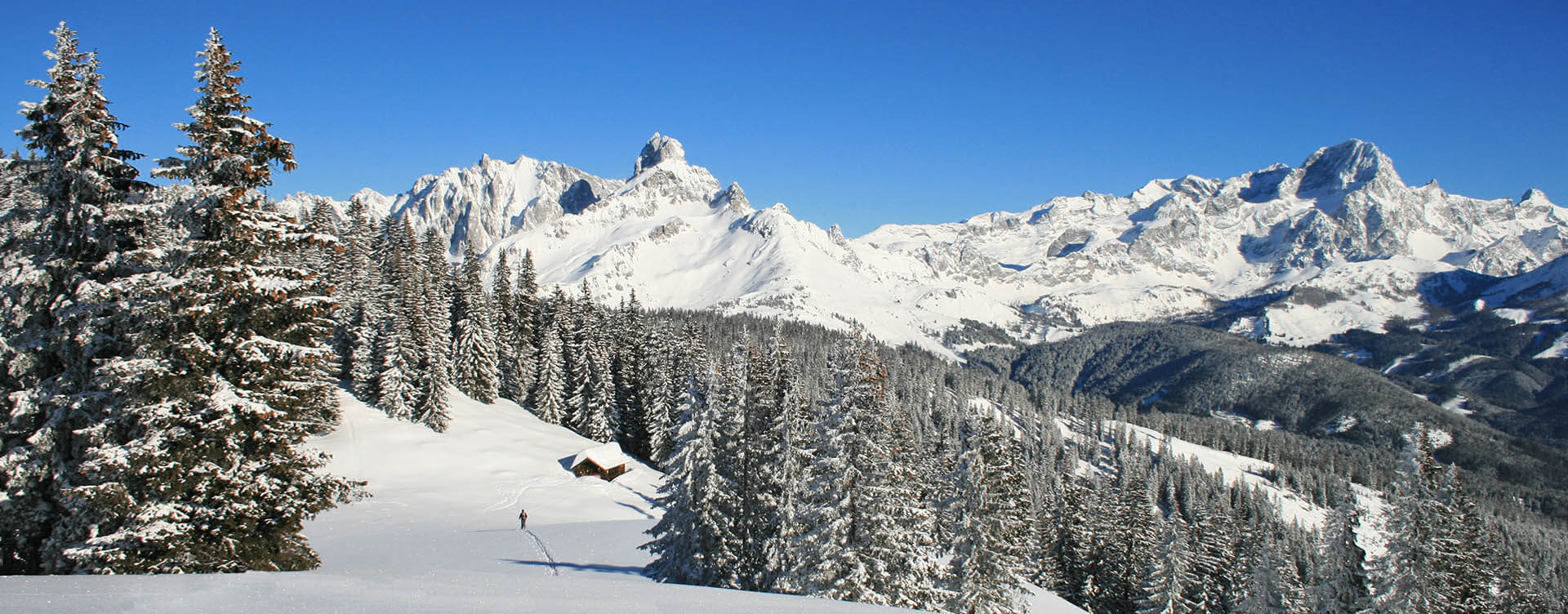 winterurlaub-alzburger-land-ferienwohnungen-langbruckgut